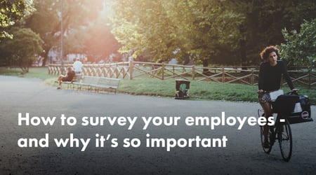 Startup Founder How to Survey Your Employees