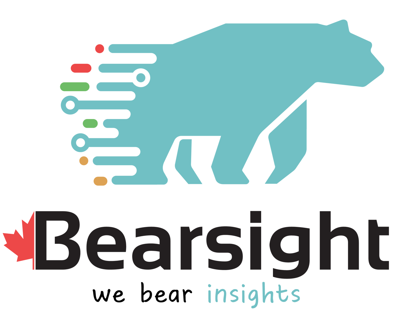 Bearsight Partner Logo