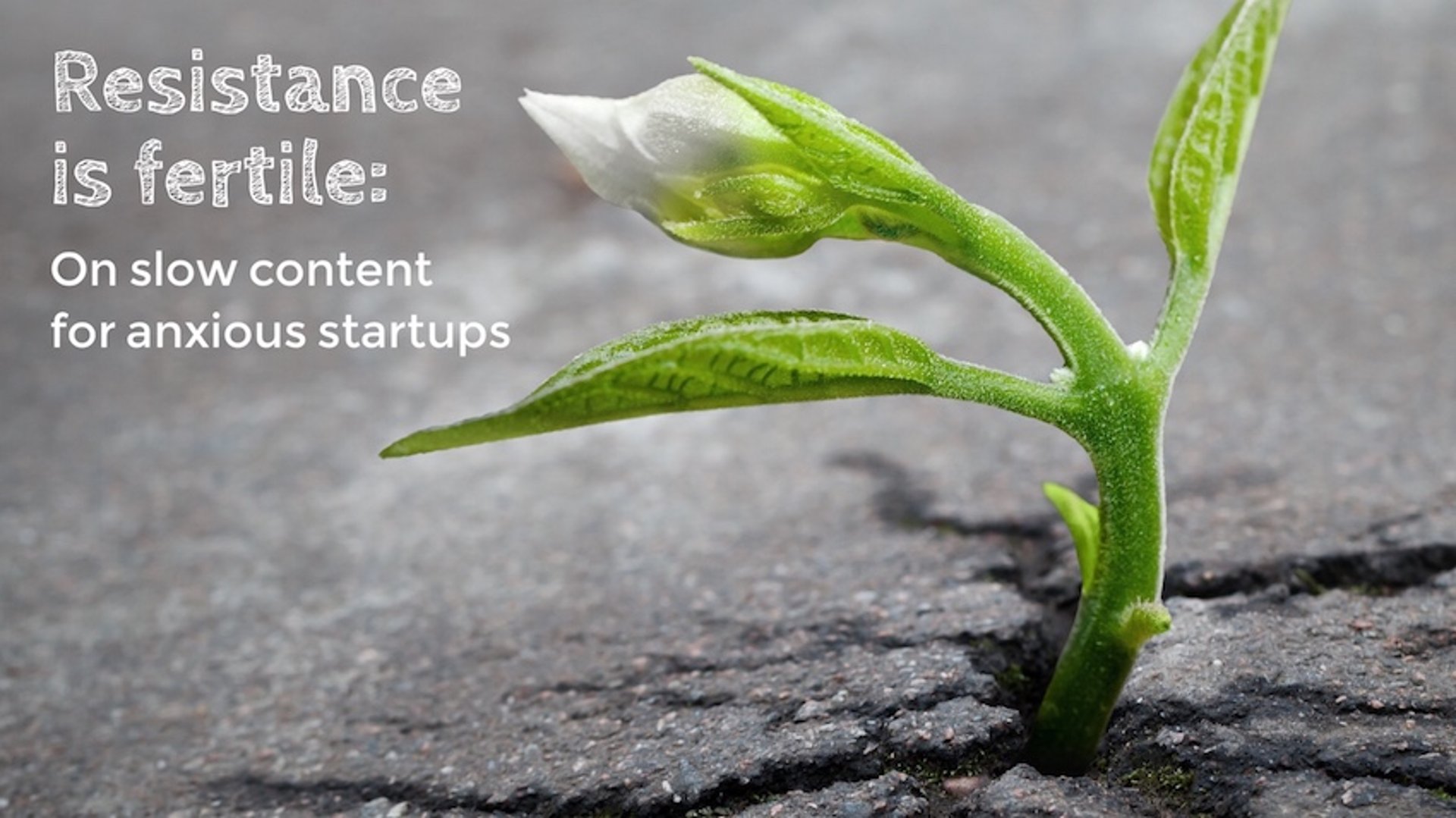 Slow Content Startups