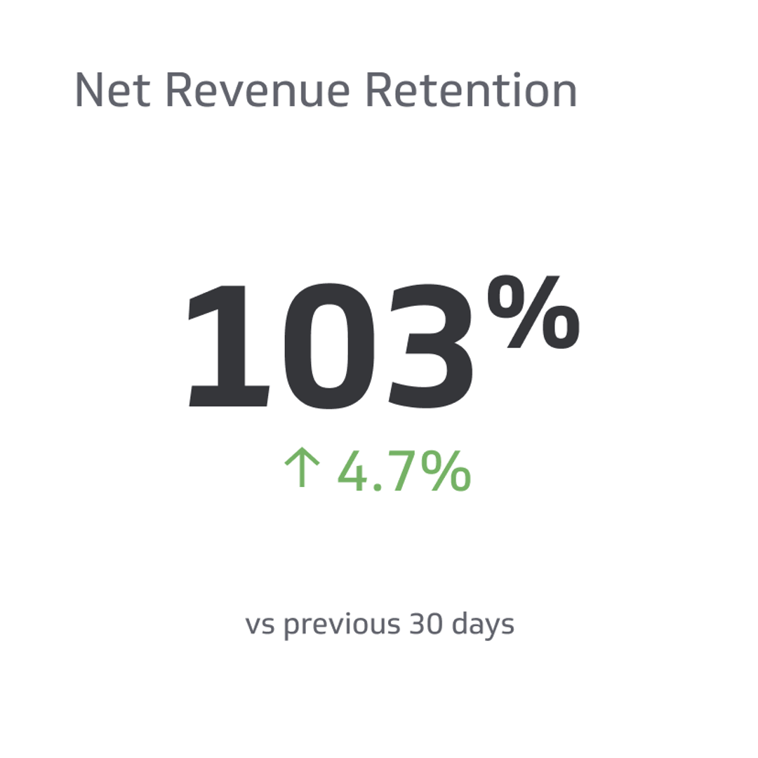 Financial KPI Example - Net Revenue Retention Metric
