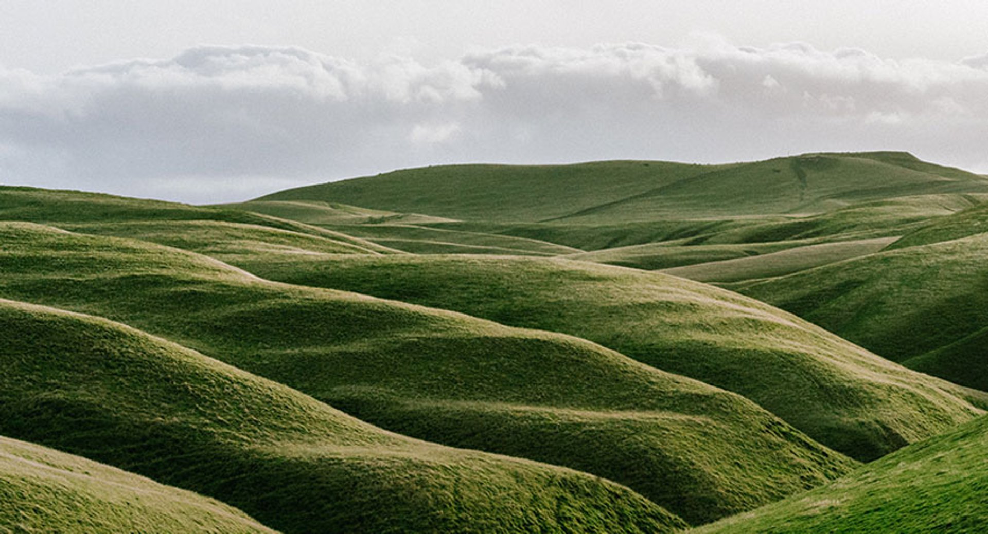 Thriving in a tempest: What we learned about product management during Klipfolio’s start-up phase