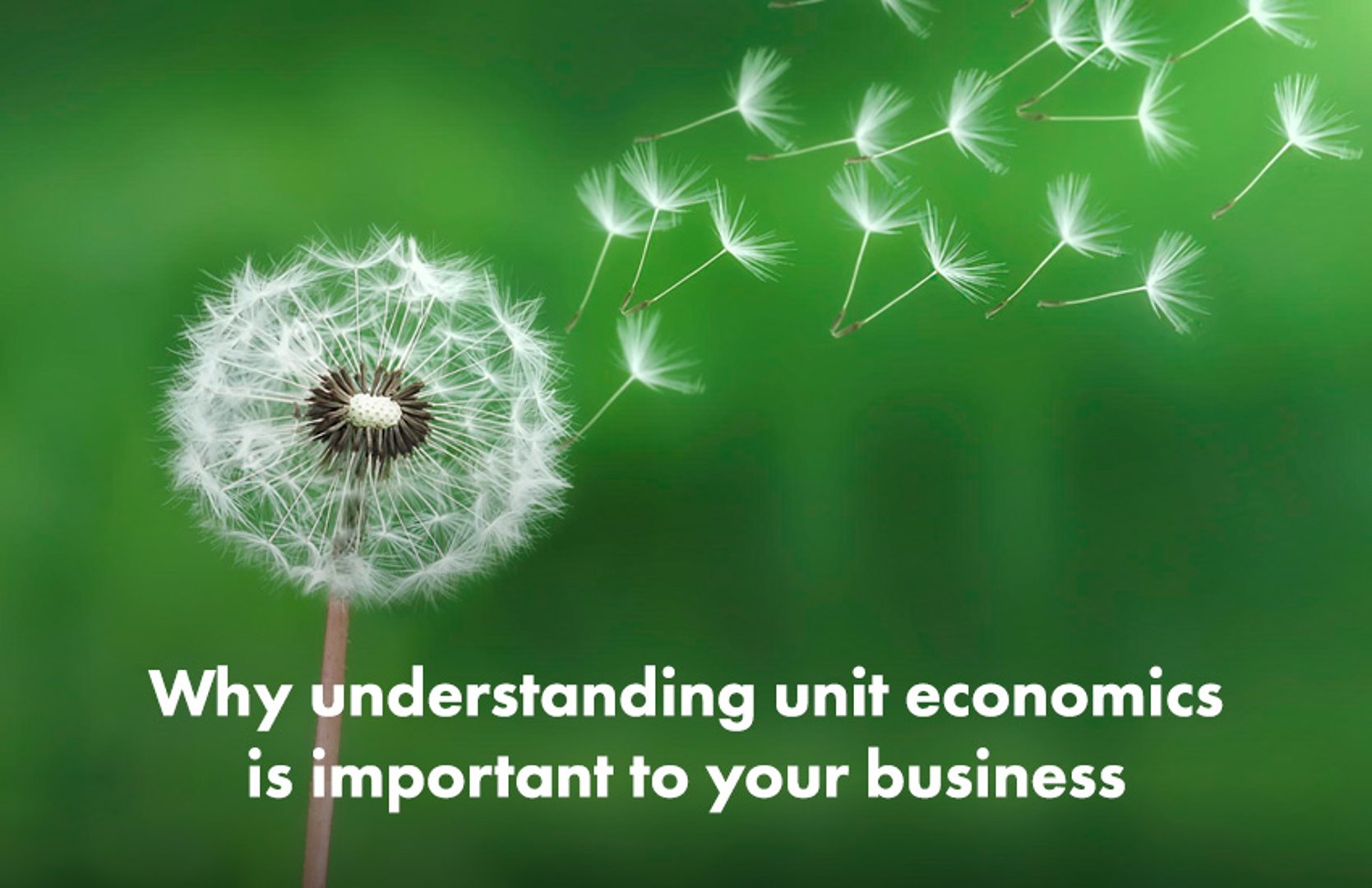 Why understanding unit economics is important to your business
