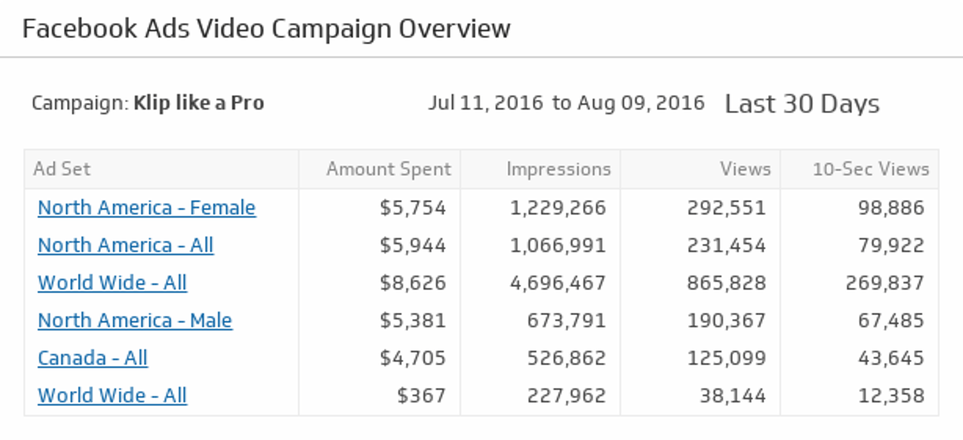Video Campaign Overview.png