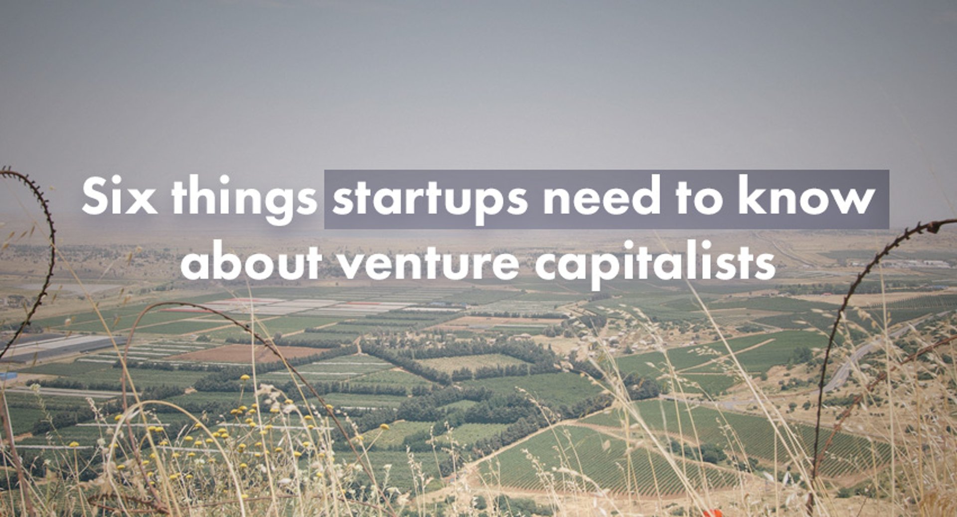Banner 6 Things Startups Need to Know about Vcs