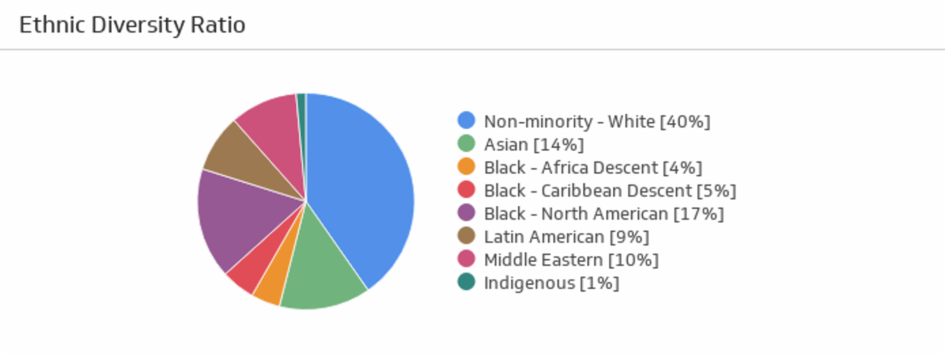 HR KPI Examples - Ethnic Diversity Ratio Metric