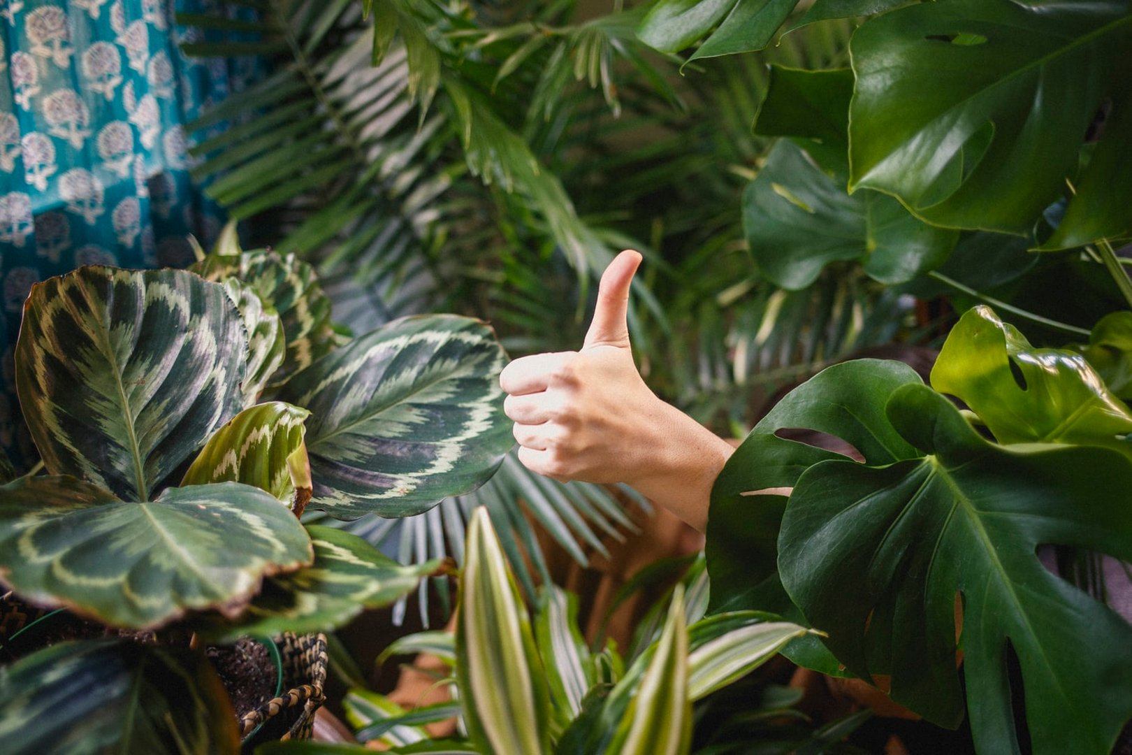 chat thumbs up