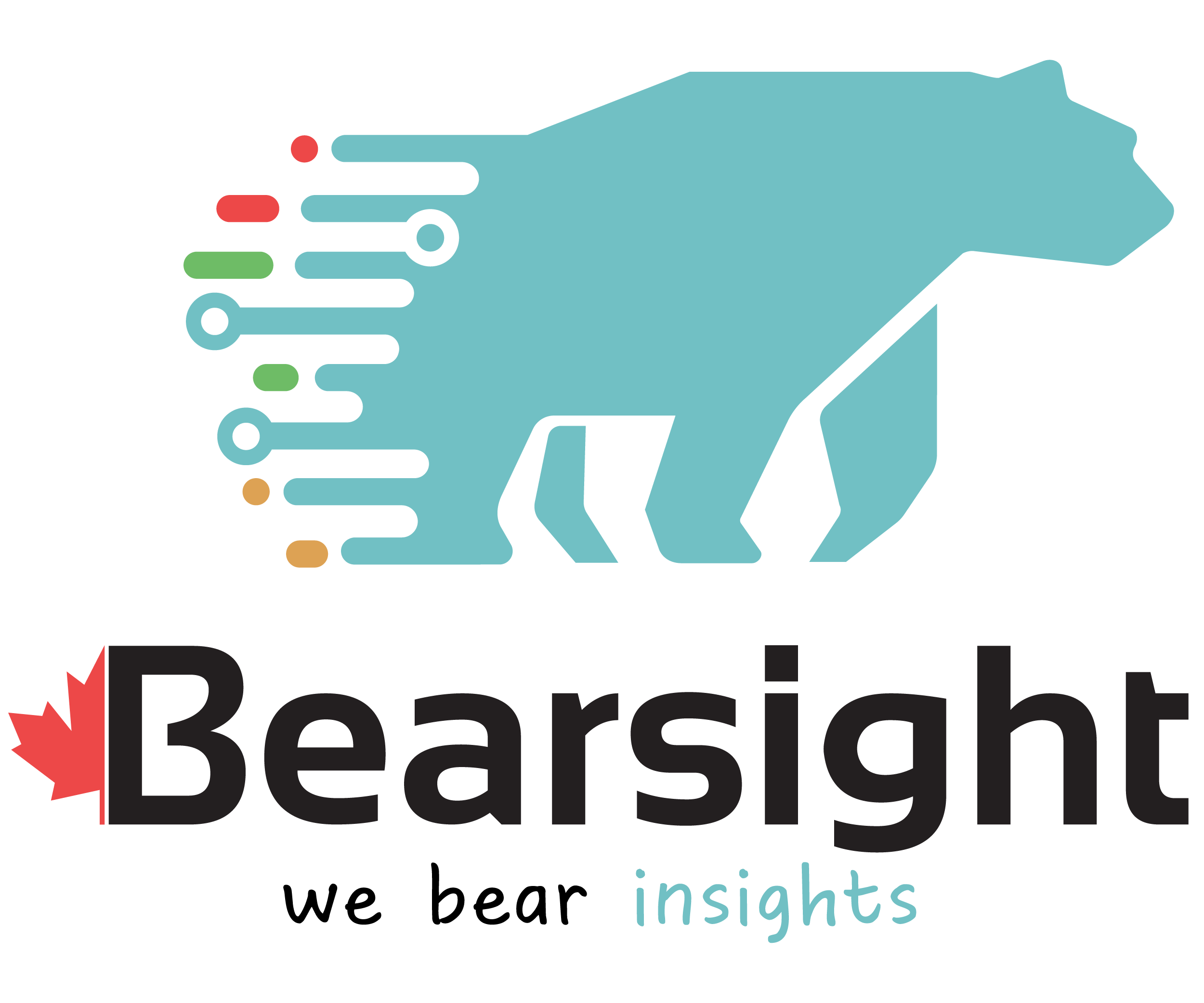 Bearsight Partner Logo