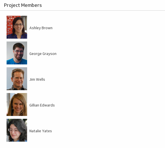  Project Members